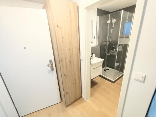 a bathroom with a shower and a wooden door at Deluxe Studio-Apartments in Mörfelden-Walldorf