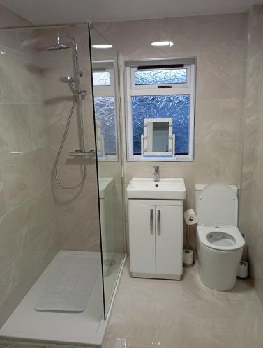 a bathroom with a shower and a toilet and a sink at the foyle bridge apartment in Derry Londonderry