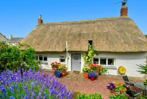 a cottage with flowers in front of it at Thatched Cottage on Northumberland border in Kirk Yetholm