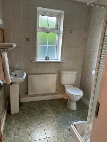 a bathroom with a toilet and a sink and a window at Killala B&B Avondale in Killala