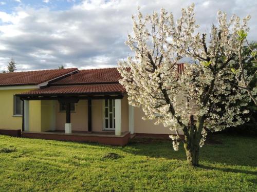 Holiday Home Lavanda 1 by Interhome