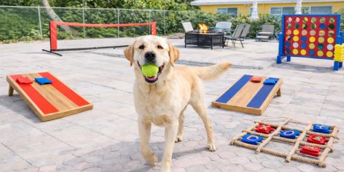 a dog standing with a tennis ball in its mouth at Family-Friendly Beach Home in West Palm Beach, FL in West Palm Beach