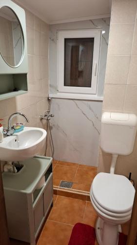 a bathroom with a toilet and a sink and a mirror at Mountain Cabin on Dobrča - Alpine Views -Foot Access Only in Tržič