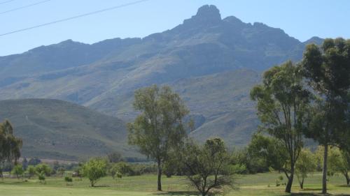 a group of trees in a field with mountains in the background at Ladismith Manor in Ladismith