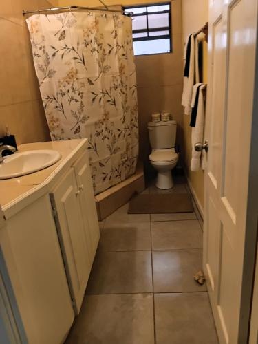 a bathroom with a toilet sink and a shower curtain at Southern Haven Guesthouse in Laborie