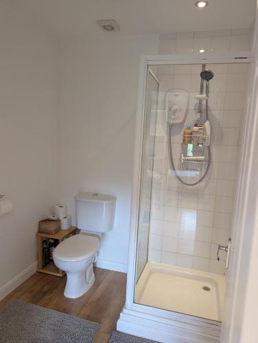 a bathroom with a toilet and a shower at Studio Apartment - Iver Heath in Uxbridge