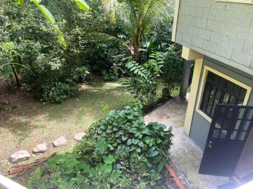 Jardí fora de River Eco Pod