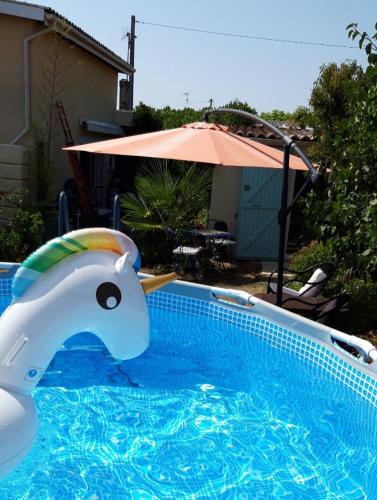 uno scivolo acquatico a forma di delfino in una piscina con ombrellone di La petite maison a Libourne