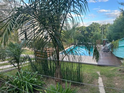 a palm tree in a yard next to a swimming pool at Terralagum in Villa Parque Siquiman