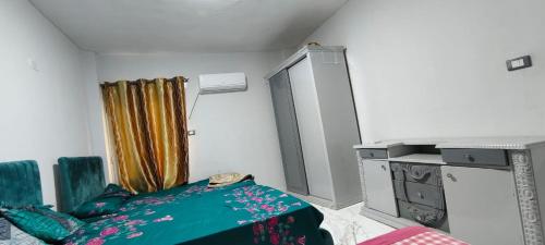 قرية النورس