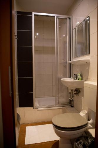 a bathroom with a toilet and a shower and a sink at City Hotel - HEEFA OHG in Hamburg