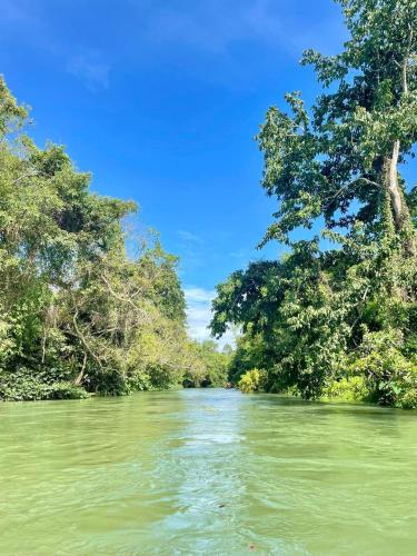 a river with trees on the side of it at Baan LungYod Resort in Phetchaburi