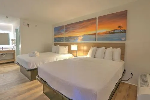 Hotel Carolina photo 17