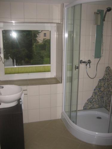 a bathroom with a shower and a sink and a toilet at Schusters Lindenhof in Bautzen