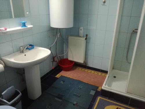 a small bathroom with a sink and a shower at Casa dintre lacuri in Malaia