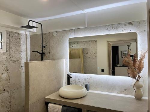 a bathroom with a sink and a large mirror at Le Ravintsara in Saint-André