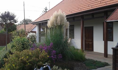 Κήπος έξω από το Tip-Top Lak Vendégház