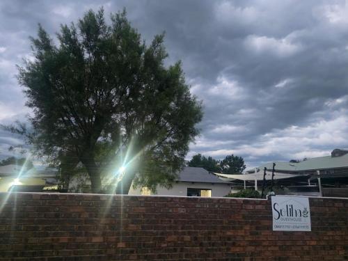 a tree behind a brick wall with a tree behind it at Soliha Guesthouse in Trichardt