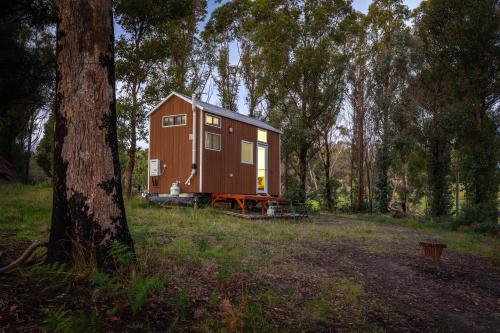 a tiny house in the middle of a forest at Raintree Farmstay by Tiny Away in Sarsfield