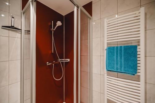 a bathroom with a shower with a blue towel at Apart-Pension Oberreiter in Fusch an der Glocknerstraße