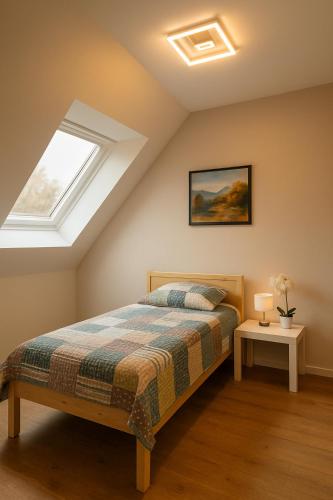 a bedroom with a bed and a skylight at Ferienwohnung Danny in Marienheide