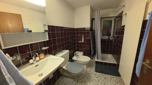 a bathroom with a toilet and a sink and a shower at Chalet Rezia in Savognin