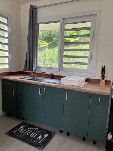 a kitchen with a counter and a sink and two windows at Honey Lodge in Punaauia