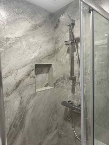 a shower with a glass door in a bathroom at The Garden Studio in Dublin