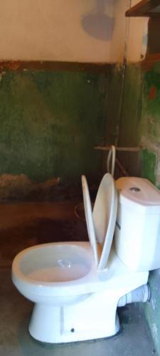 a white toilet with its seat up in a bathroom at Lakeview since 1963 in Pilawala