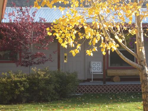 a house with a white chair on the porch at Pinedale Cozy Cabins in Pinedale