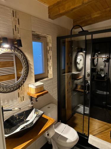 a bathroom with a shower and a toilet and a mirror at Mon Resort by Ana1St in Scărişoara