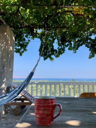 Villa Stefania - with Sea View Terrace