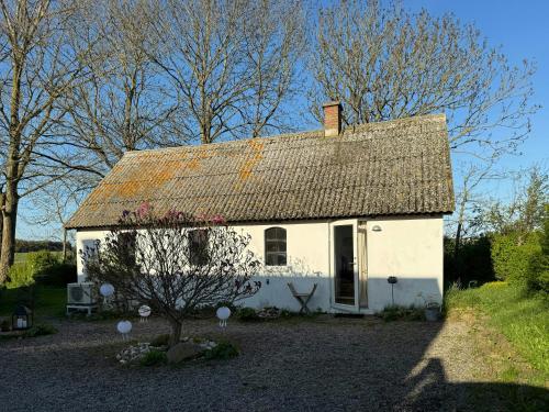a small white house with a tin roof at Rural Guest House Between Simrishamn And Skillinge in Simrishamn