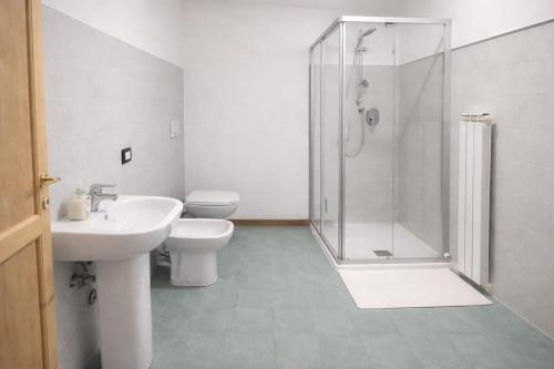 a bathroom with a shower and a toilet and a sink at Dolomiti Relax Home in Perarolo di Cadore