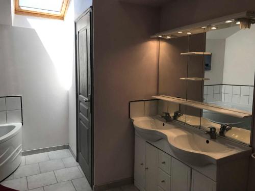 a bathroom with a sink and a mirror at Gîte lamarlière in Savigny-sous-Faye