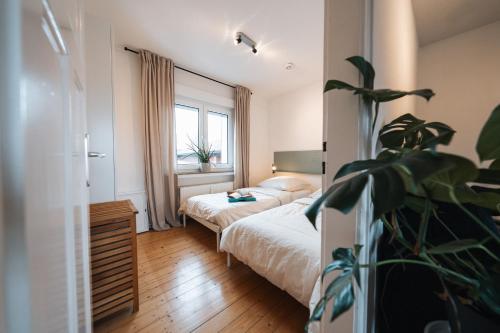 a hotel room with a bed and a potted plant at Gemütliches Nest in Rinkerode in Drensteinfurt