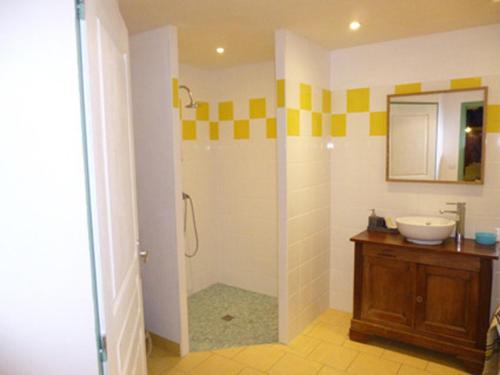 a bathroom with a shower with a sink and a mirror at Le gîte de la roche in Antigny