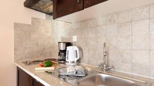 a kitchen counter with a sink and a coffee maker at Appartment house Zara in Brzac