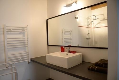 a bathroom with a white sink and a mirror at Gîte de la tonnelle in Saint-Georges-lès-Baillargeaux