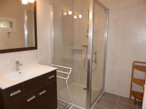 a bathroom with a shower and a sink at Les pierres de la dive in Valence en Poitoux