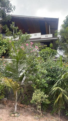 a garden with plants and a bench in front of a building at Ridge Bae Homestay in Varkala