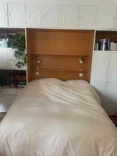 Central, beautiful, spacious and elegant apartment near Nation, Bastille and La Coulée Verte