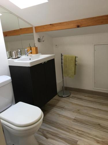 a bathroom with a white toilet and a sink at Le chalet des forges in Mairé