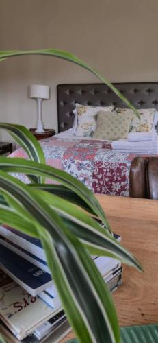 a bedroom with a bed with a plant in the foreground at Udayana House in Hillcrest