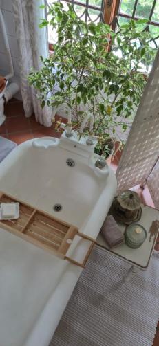 a white sink with potted plants in a room at Udayana House in Hillcrest