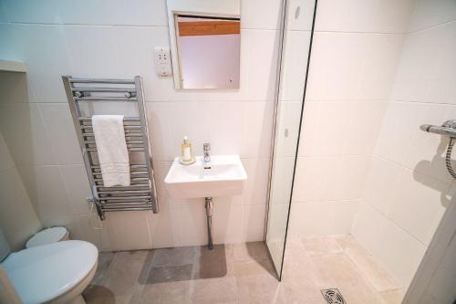 a bathroom with a toilet and a sink and a shower at Yorkshire Dales Lodge 15 by Together Travel - 3-Bed Premium Ensuite in Richmond