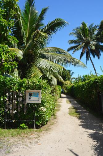 a dirt road with palm trees and a sign at Fare Maheata in Pihaena