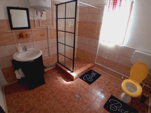a bathroom with a shower and a sink and a toilet at Cabana Maguri in Măguri