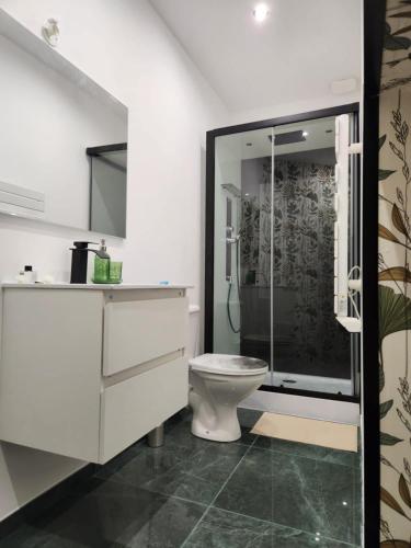 a bathroom with a toilet and a glass shower at Gîte de Burgy in Burgy