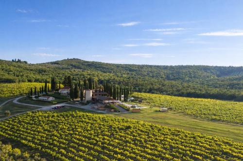an aerial view of a vineyard with a house and a road at Borgo Iesolana Country Retreat in Bucine